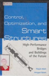 Image of Control, Optimization, and Smart Structures